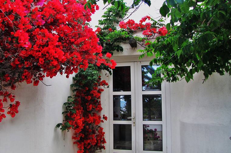 Villa Pari Manda