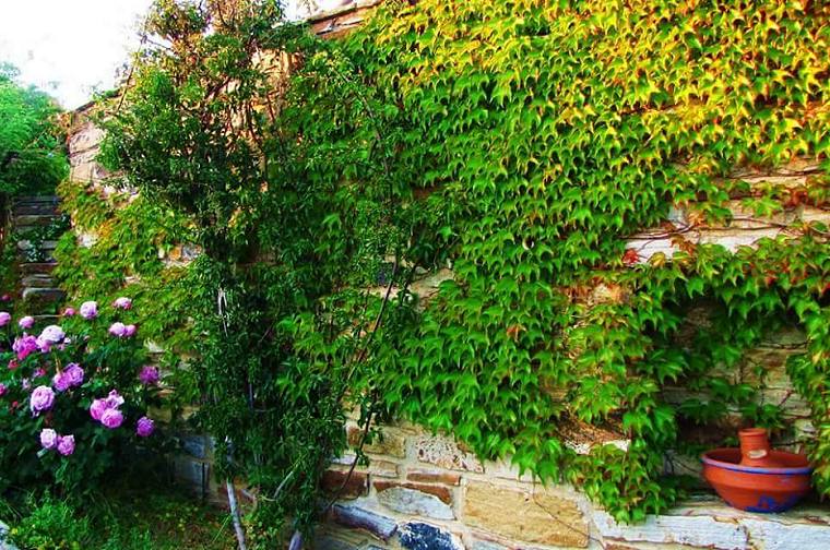 Villa Pari Manda